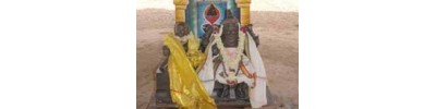 தென்பொன்பரப்பி